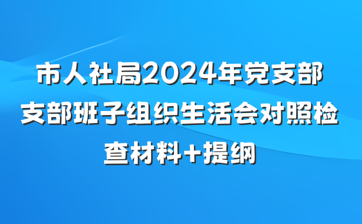 市人社局2024年党支部支部班子组织生活会对照检查材料 提纲