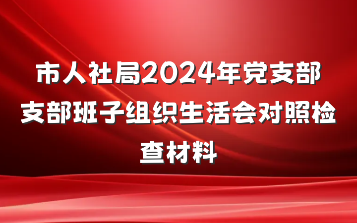 市人社局2024年党支部支部班子组织生活会对照检查材料
