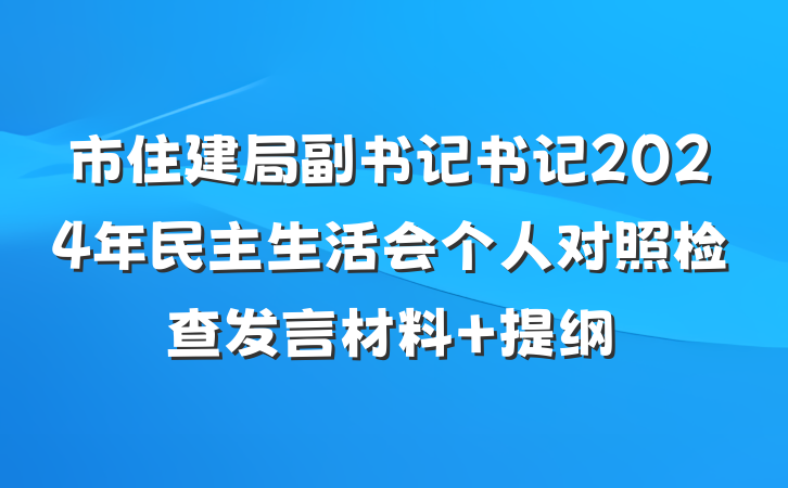市住建局副书记书记2024年民主生活会个人对照检查发言材料 提纲