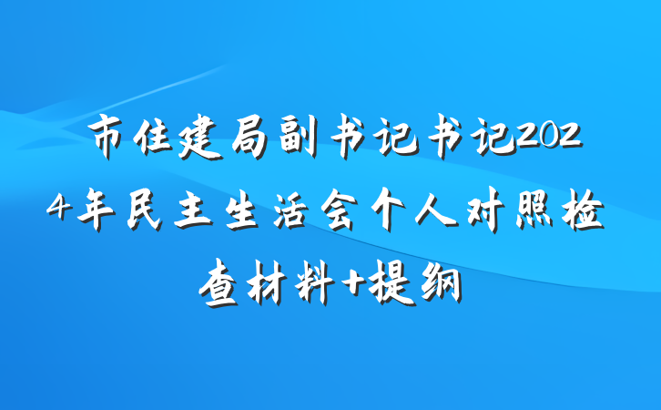市住建局副书记书记2024年民主生活会个人对照检查材料 提纲
