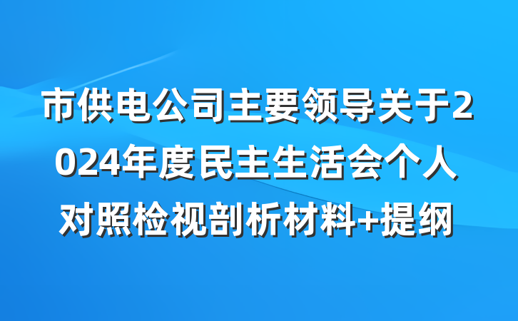 市供电公司主要领导关于2024年度民主生活会个人对照检视剖析材料 提纲