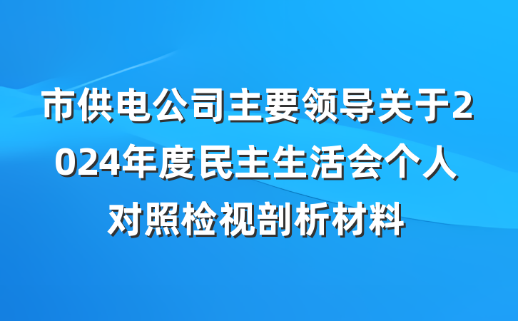 市供电公司主要领导关于2024年度民主生活会个人对照检视剖析材料