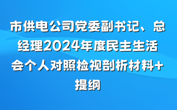 市供电公司党委副书记、总经理2024年度民主生活会个人对照检视剖析材料 提纲