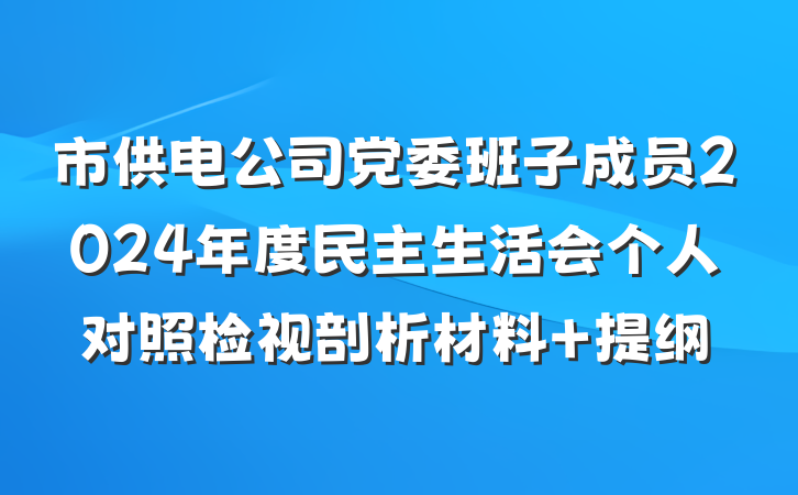 市供电公司党委班子成员2024年度民主生活会个人对照检视剖析材料 提纲