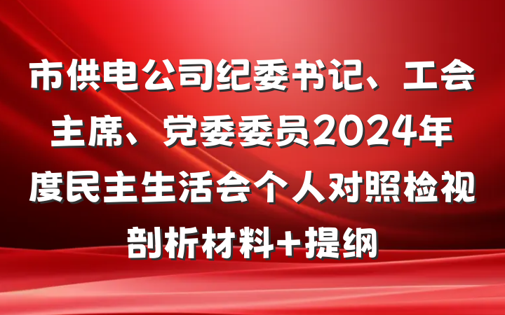 市供电公司纪委书记、工会主席、党委委员2024年度民主生活会个人对照检视剖析材料 提纲