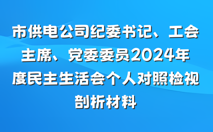 市供电公司纪委书记、工会主席、党委委员2024年度民主生活会个人对照检视剖析材料