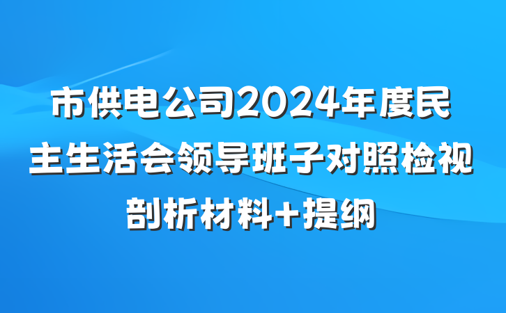 市供电公司2024年度民主生活会领导班子对照检视剖析材料 提纲