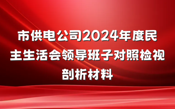 市供电公司2024年度民主生活会领导班子对照检视剖析材料