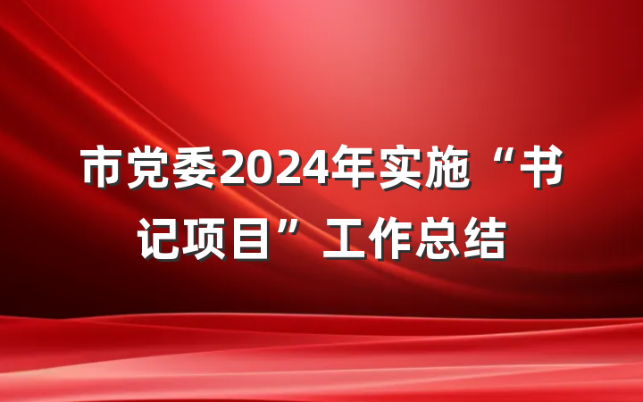 市党委2024年实施“书记项目”工作总结