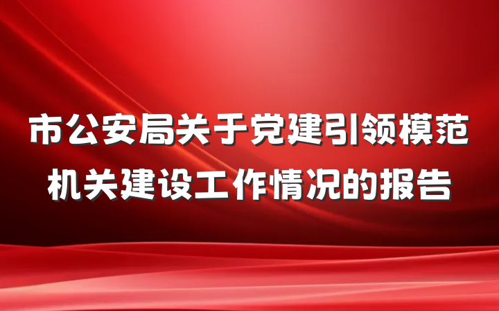 市公安局关于党建引领模范机关建设工作情况的报告