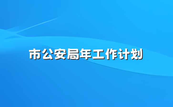市公安局年工作计划