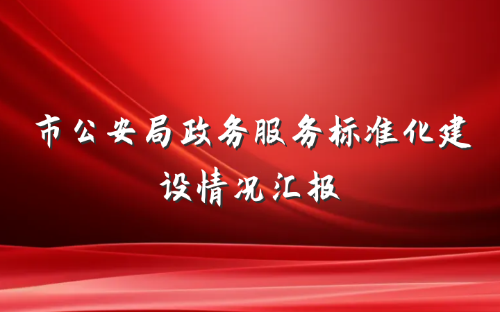 市公安局政务服务标准化建设情况汇报