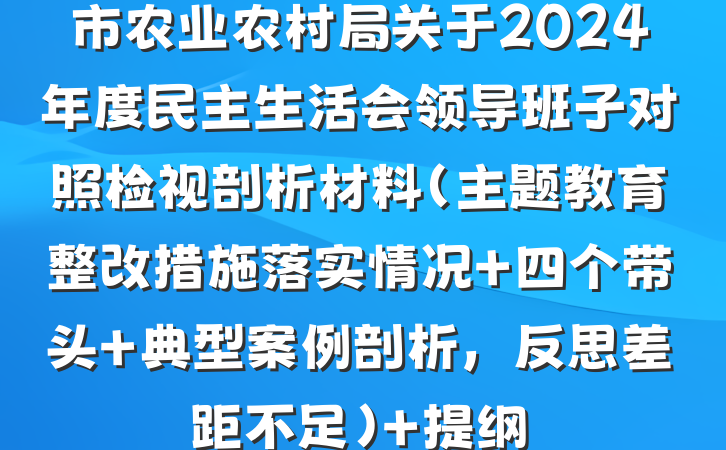 市农业农村局关于2024年度民主生活会领导班子对照检视剖析材料（主题教育整改措施落实情况+四个带头+典型案例剖析，反思差距不足） 提纲