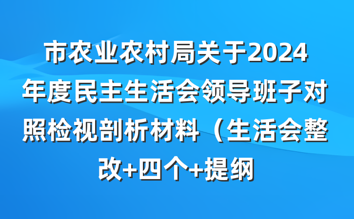 市农业农村局关于2024年度民主生活会领导班子对照检视剖析材料（生活会整改+四个 提纲