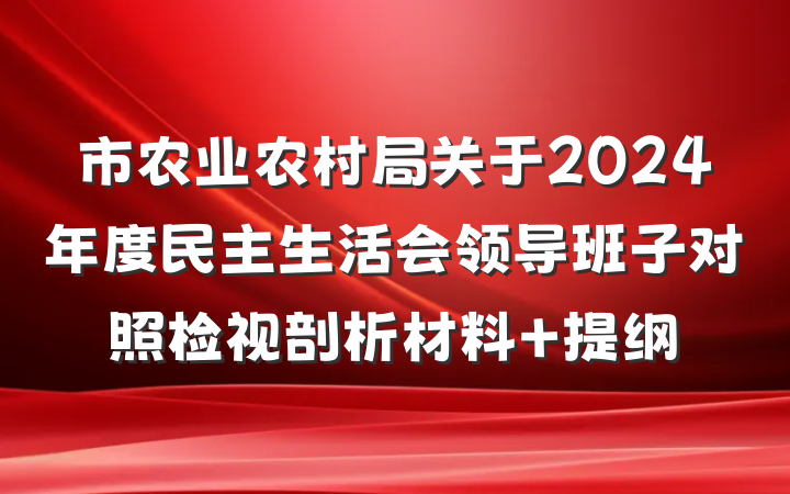 市农业农村局关于2024年度民主生活会领导班子对照检视剖析材料 提纲