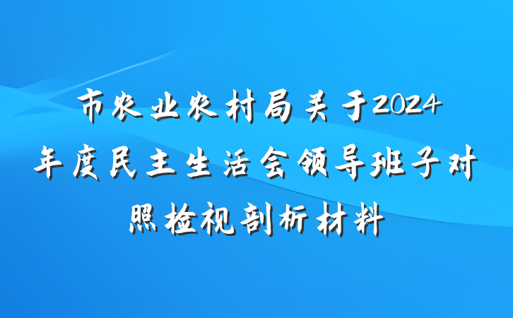 市农业农村局关于2024年度民主生活会领导班子对照检视剖析材料