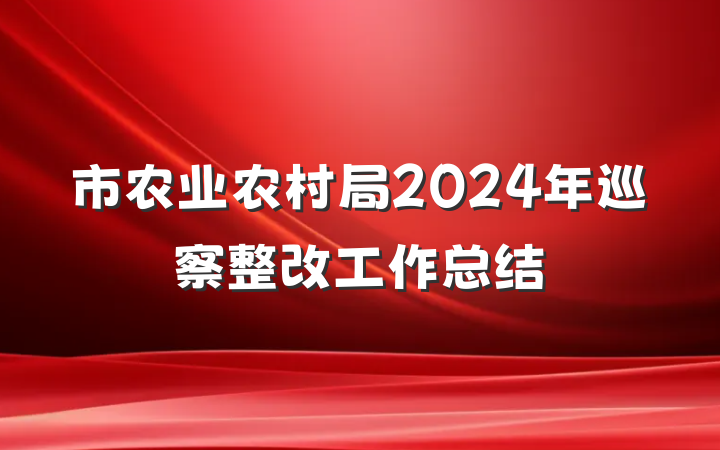 市农业农村局2024年巡察整改工作总结