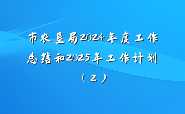 市农垦局2024年度工作总结和2025年工作计划（2）