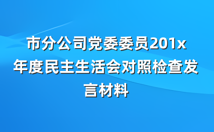 市分公司党委委员201x年度民主生活会对照检查发言材料