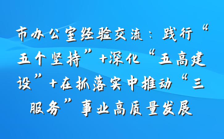 市办公室经验交流：践行“五个坚持” 深化“五高建设” 在抓落实中推动“三服务”事业高质量发展
