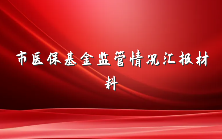 市医保基金监管情况汇报材料