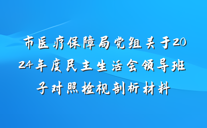市医疗保障局党组关于2024年度民主生活会领导班子对照检视剖析材料