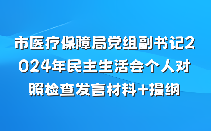 市医疗保障局党组副书记2024年民主生活会个人对照检查发言材料 提纲