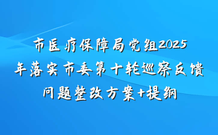 市医疗保障局党组2025年落实市委第十轮巡察反馈问题整改方案 提纲