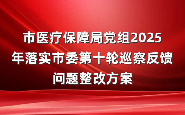 市医疗保障局党组2025年落实市委第十轮巡察反馈问题整改方案