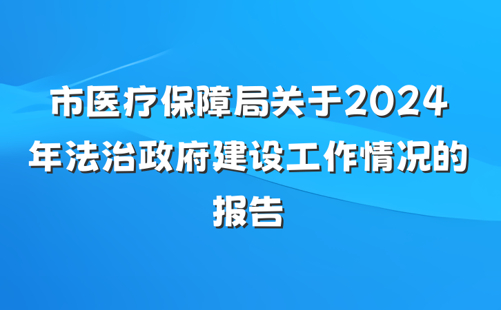 市医疗保障局关于2024年法治政府建设工作情况的报告