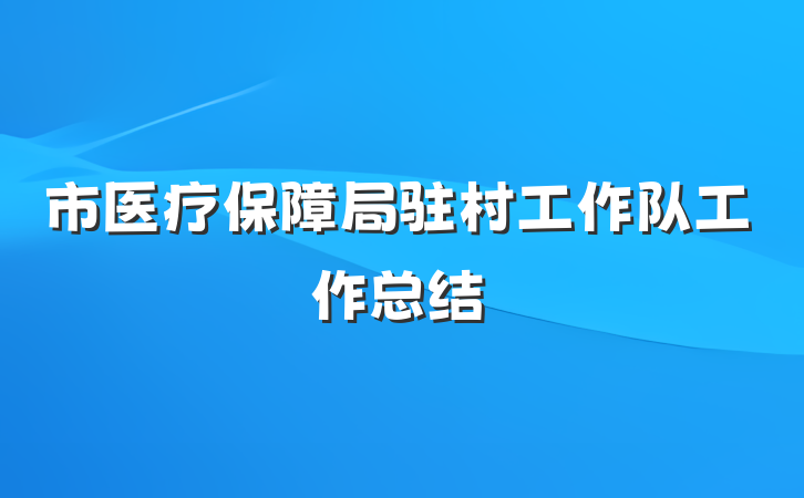市医疗保障局驻村工作队工作总结