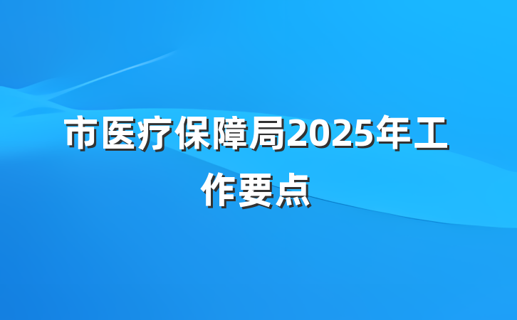 市医疗保障局2025年工作要点