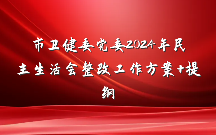 市卫健委党委2024年民主生活会整改工作方案 提纲