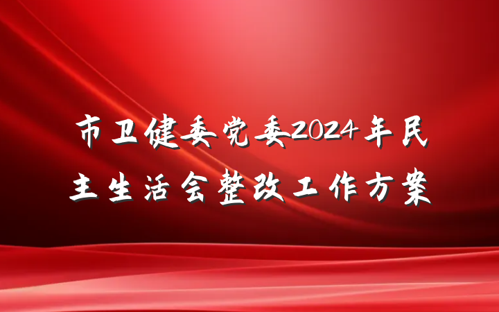 市卫健委党委2024年民主生活会整改工作方案