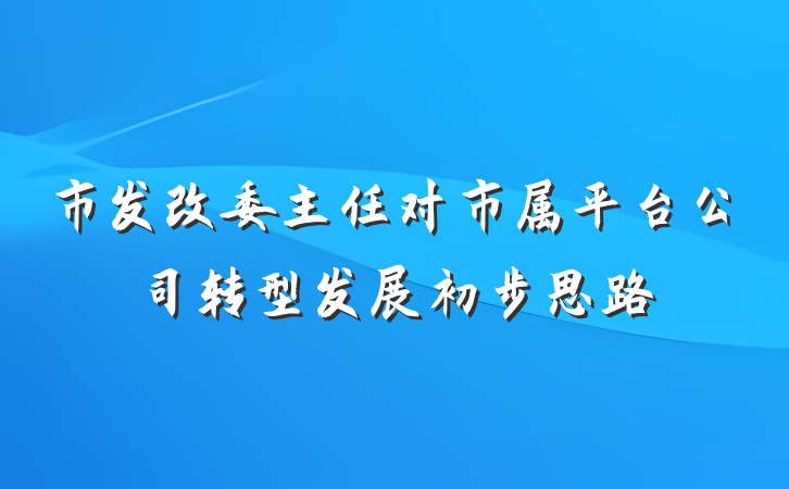 市发改委主任对市属平台公司转型发展初步思路