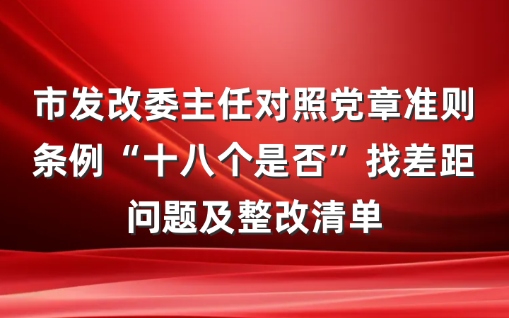 市发改委主任对照党章准则条例“十八个是否”找差距问题及整改清单