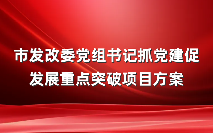 市发改委党组书记抓党建促发展重点突破项目方案