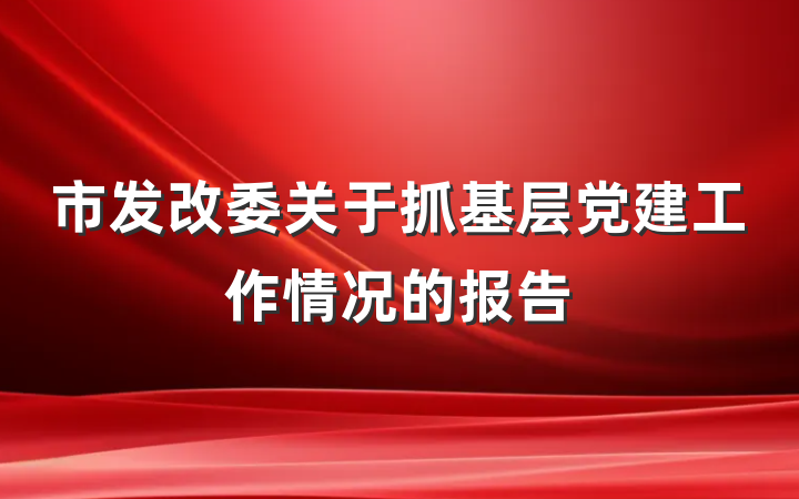 市发改委关于抓基层党建工作情况的报告