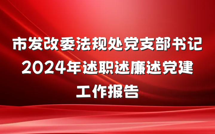 市发改委法规处党支部书记2024年述职述廉述党建工作报告