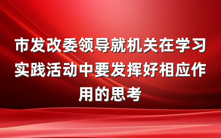 市发改委领导就机关在学习实践活动中要发挥好相应作用的思考