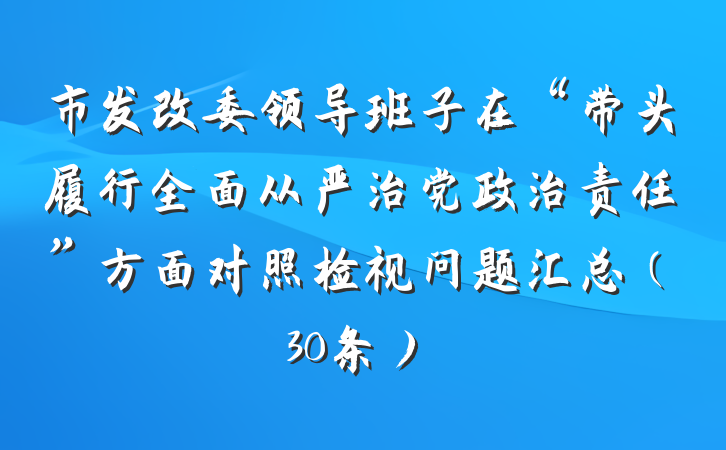 市发改委领导班子在“带头履行全面从严治党政治责任”方面对照检视问题汇总（30条）