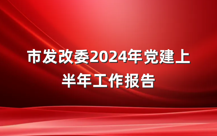市发改委2024年党建上半年工作报告