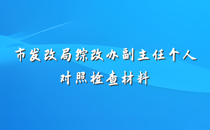 市发改局综改办副主任个人对照检查材料