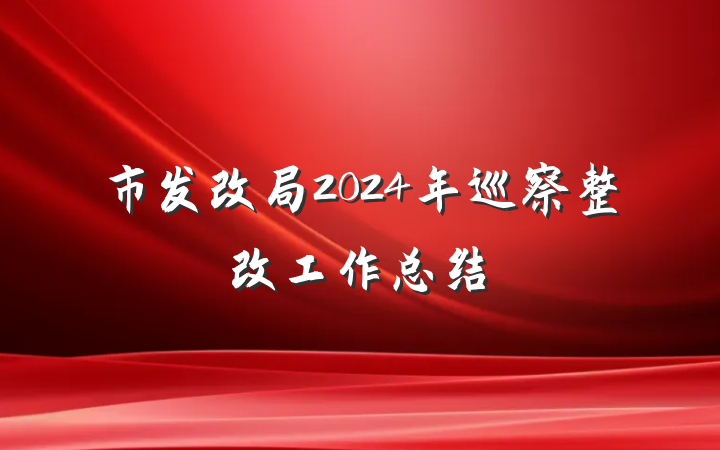 市发改局2024年巡察整改工作总结