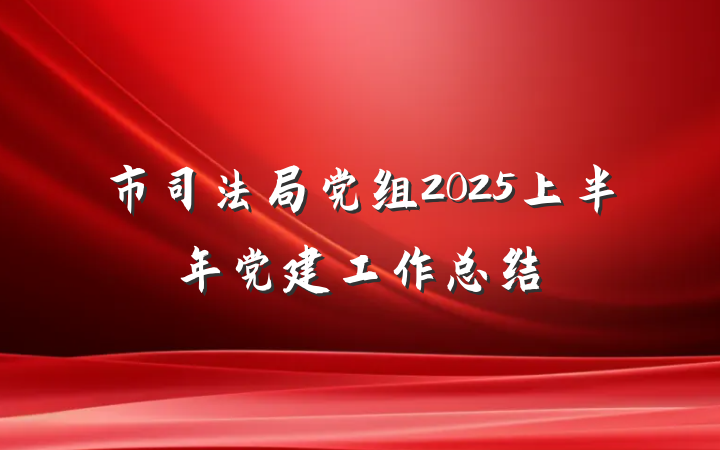 市司法局党组2025上半年党建工作总结