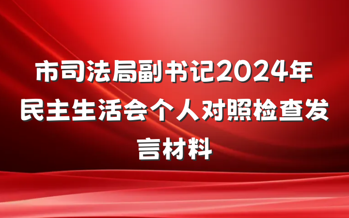 市司法局副书记2024年民主生活会个人对照检查发言材料