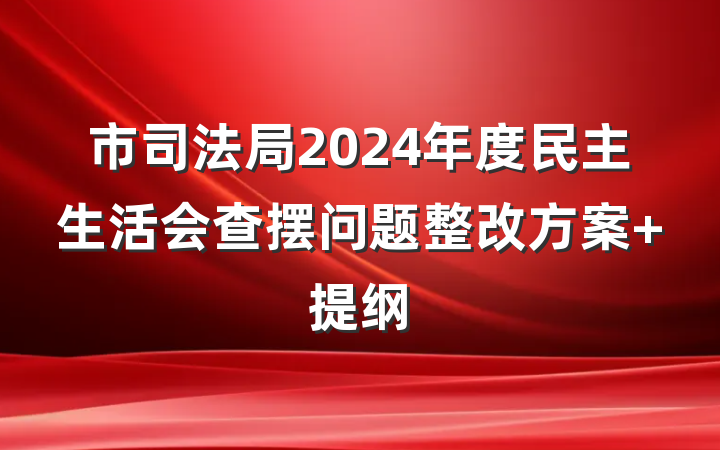 市司法局2024年度民主生活会查摆问题整改方案 提纲
