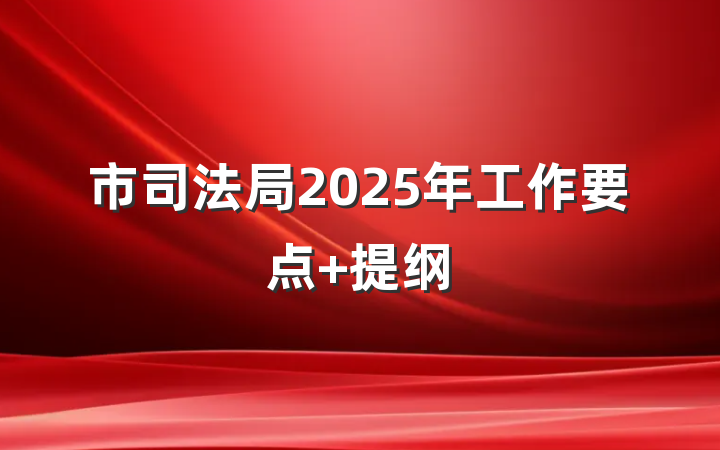 市司法局2025年工作要点 提纲
