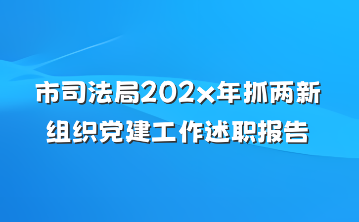 市司法局202x年抓两新组织党建工作述职报告