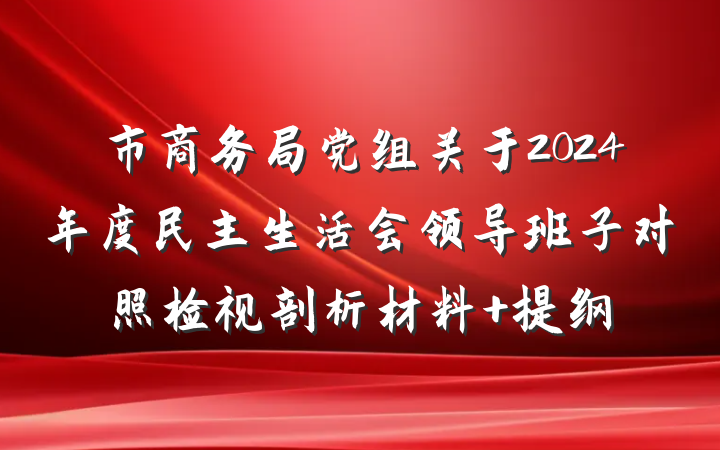 市商务局党组关于2024年度民主生活会领导班子对照检视剖析材料 提纲
